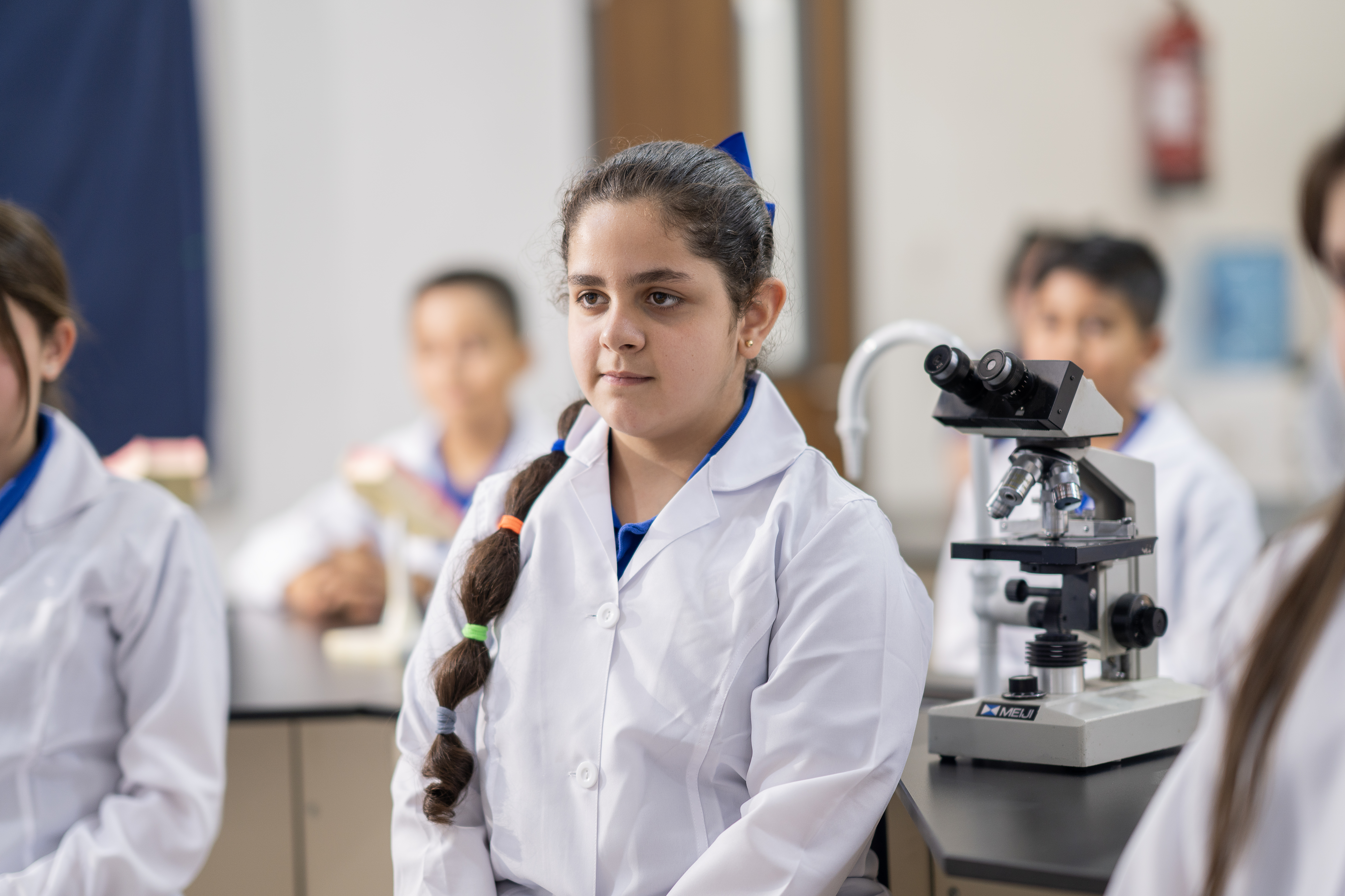 3-	المرحلة الأساسية – الصفوف 4 إلى 6