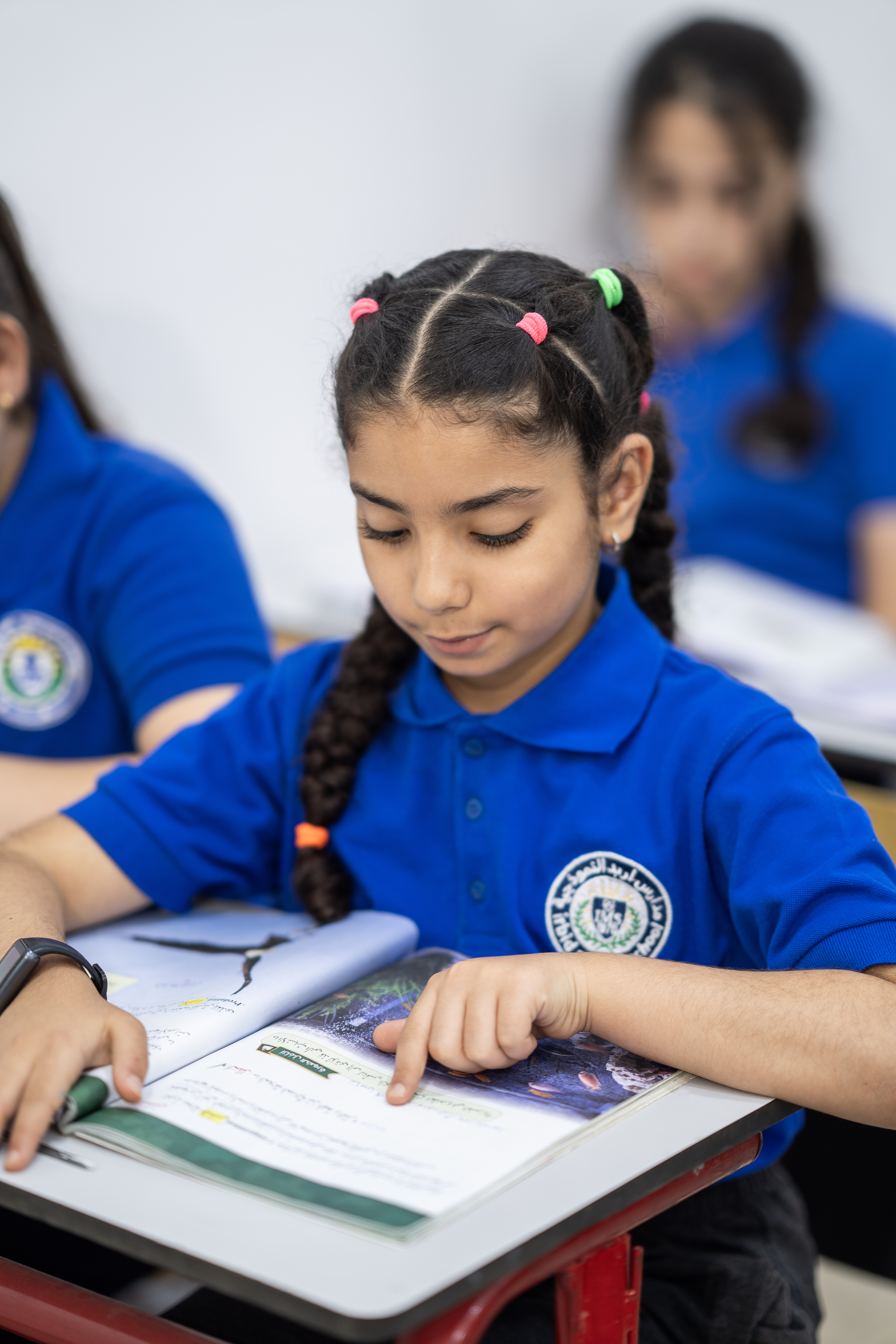 3-	المرحلة الأساسية – الصفوف 4 إلى 6